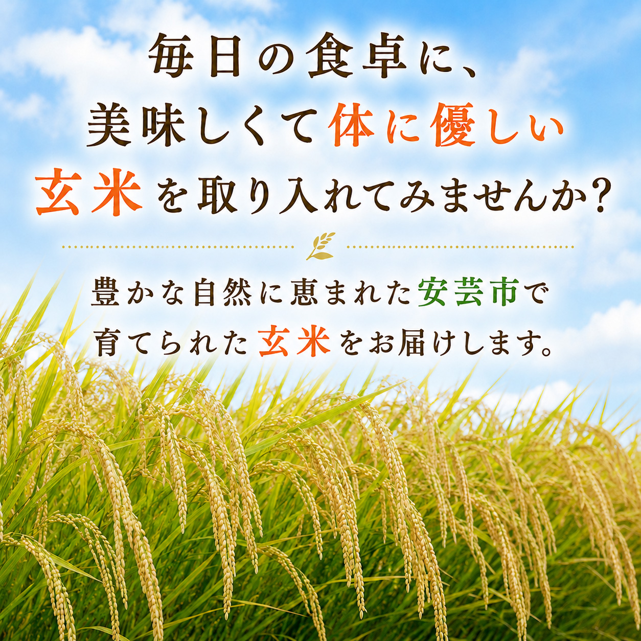 先行受付 令和8年産 玄米 こしひかり 60kg 6ヵ月連続 定期便 10kg × 6回 安芸産 栄養価 お米 精米 新米 ごはん ご飯 高知県産 弁当 おにぎり 料理 新嘗祭皇室献上米 令和8年 健