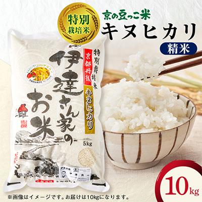 ふるさと納税 与謝野町 令和7年産米　特別栽培キヌヒカリ「京の豆っこ米」精米10kg　京都与謝野町　【伊達農園】　数量限定
