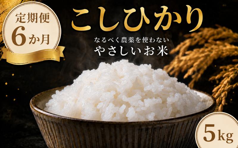 
                  米 コシヒカリ 5kg 定期便 6か月 やさしいお米 お米 こしひかり 精米 白米 玄米 選べる okome 茨城県 鉾田市 合同会社はぐくみのもり 
                