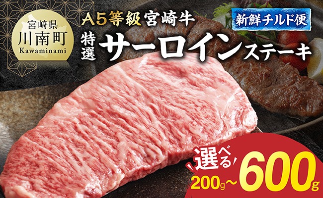 ※グラムが選べる※【A5等級】【新鮮チルド便】宮崎牛特選サーロインステーキ 【 肉 宮崎 ステーキ 牛肉 おかず A5 】 [B13204 B13205 B13206]