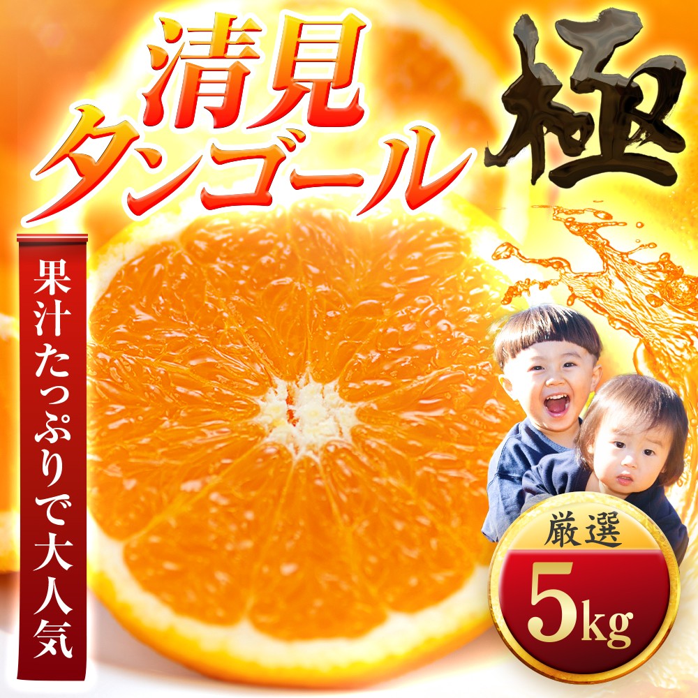 
                  ＜太陽をたっぷり浴びた＞清見タンゴール＜極＞5kg＜C49-52＞【1509749】 YWTZ044
                
