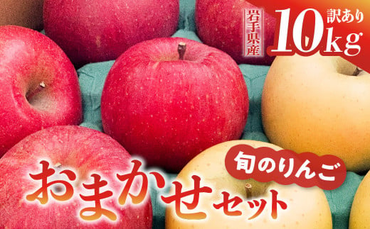 
りんご 10kg 訳あり 品種おまかせ 2種類以上 【 サンふじ はるか シナノゴールド 王林 奥州ロマン 陽光 】
