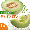 【ふるさと納税】【2024年5月下旬〜発送】【さわやかな味わい！】 タカミメロン 約4.5kg / 甘い フルーツ 九州 めろん 果物 メロン / 南島原市 / 南島原果物屋 [SCV013]