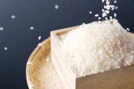 【定期便6ヶ月】138．特別栽培米　若桜（わかさ）のお米　コシヒカリ　10kg×6ヶ月定期便（精米5kg×2袋×6ヶ月）