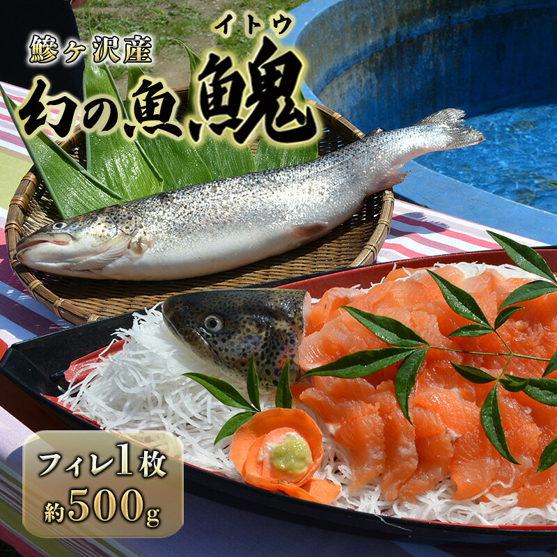 【ふるさと納税】サーモン 冷凍 幻の魚イトウ 1枚 約500g フィレ 鰺ヶ沢産 川のトロ 白神山地 川魚 魚貝類 川魚料理 レシピ 青森県鰺ヶ沢町