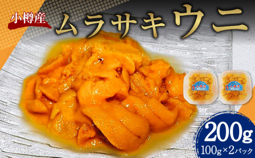 小樽産 ムラサキウニ （塩水生ウニ） 100g×2パック 合計200g 【2027年5月下旬-8月下旬 発送予定】 紫雲丹 紫ウニ 紫うに ウニ うに 雲丹 塩水生うに 生ウニ 刺し身 刺身 海鮮丼 魚介類 海産物 冷蔵
