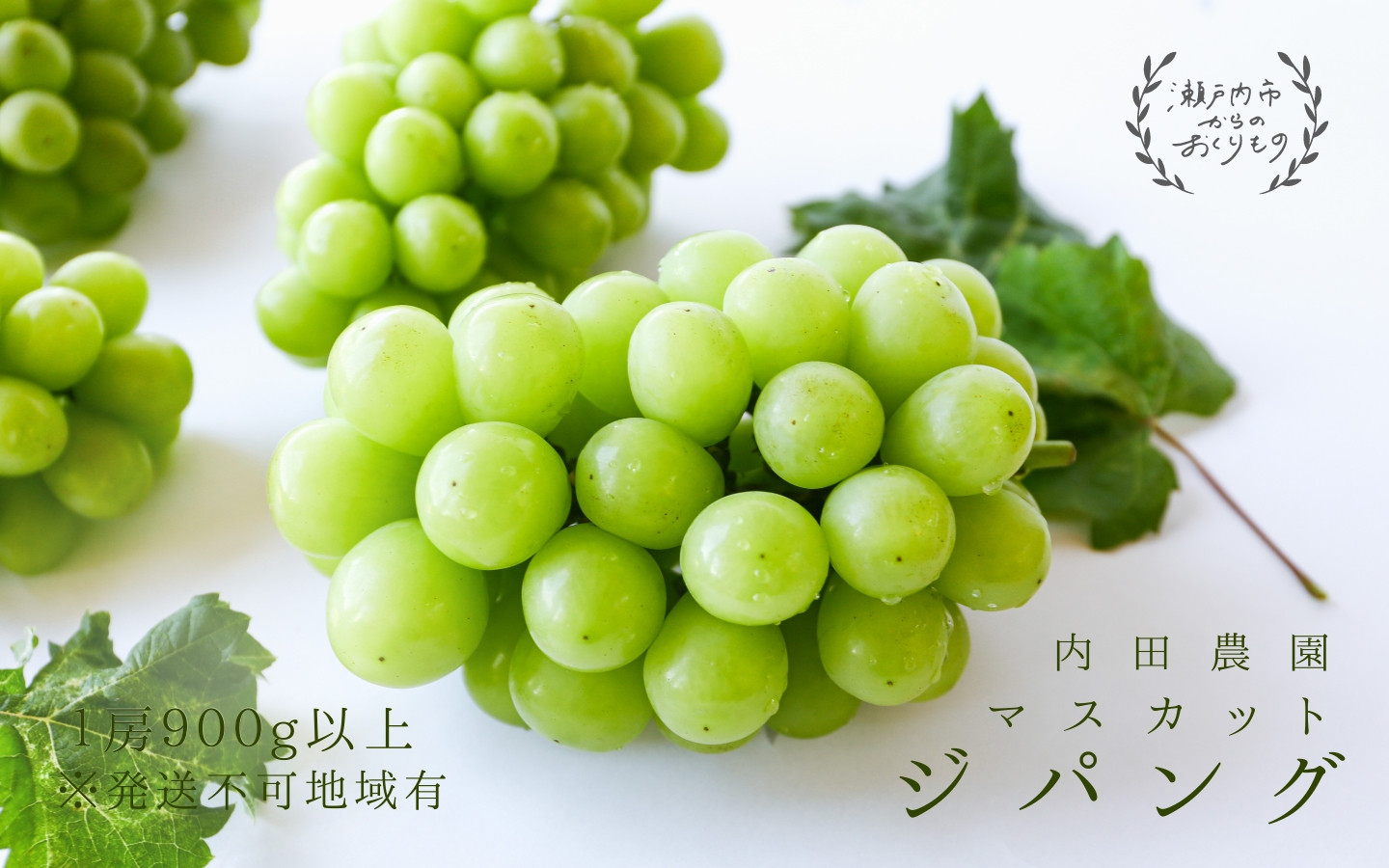 
                  マスカット・ジパング 1房（900g以上）内田農園 岡山県 瀬戸内市 邑久町産 葡萄 ぶどう【配達不可：北海道・沖縄・離島】 果物類 フルーツ オリジナル 種なし 皮ごと
                