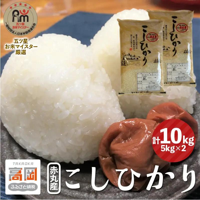 赤丸産こしひかり 10kg（5kg×2） 高岡市 米 精米 FAD-1985