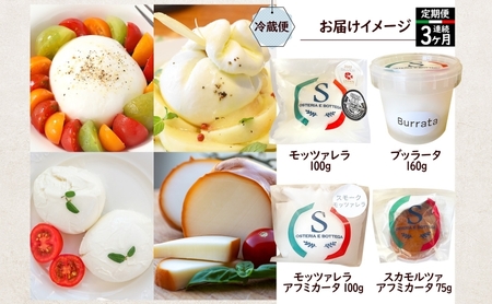  3ヶ月定期便 チーズ 4種 詰め合わせ 各1個 Osteria e Bottega S モッツァレラ ブラッターチーズ スカモルツァアフミカータ 神奈川県 茅ケ崎市 加工食品 乳製品 牛乳 手作業 