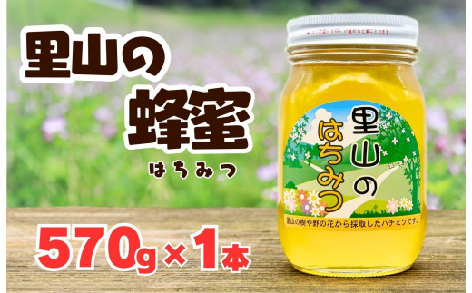 
            ありだ里山の蜂蜜 570g 化粧箱入り
          
