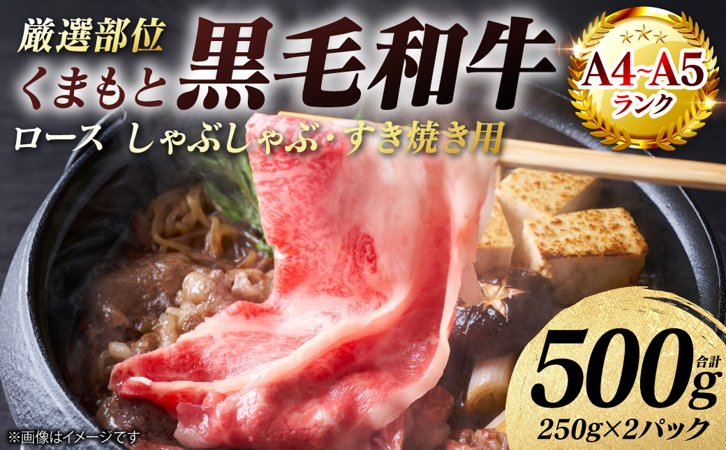 【A4～A5ランク】 【厳選部位】 くまもと黒毛和牛 ロース しゃぶしゃぶ すき焼き用 500g （250g×2パック） 和牛 牛肉 お肉 黒毛和牛 鍋 冷凍 おかず 熊本県 八代市