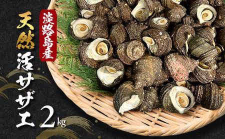 サザエ 淡路島 天然 活サザエ 2kg つぼ焼き サザエ