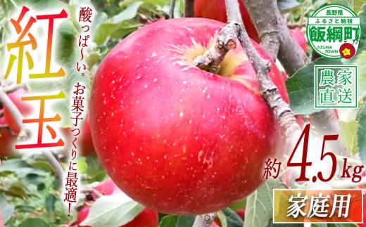 りんご 紅玉 家庭用 4.5kg 中村ファーム 沖縄県への配送不可 ま2026年9月中旬頃から2026年11月上旬頃で順次発送予定 令和8年度収穫分 長野県 飯綱町 [0558]
