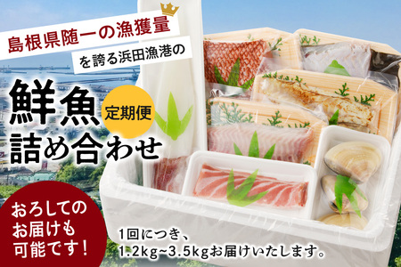 【定期便】この男、極める！～浜田の旨い鮮魚12か月毎月お届けコース～ ふるさと納税 定期便 鮮魚 魚介類 魚貝類 お楽しみ定期便 【543】