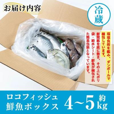 ふるさと納税 肝付町 漁師厳選!ロコフィッシュ(地魚) 下処理済 鮮魚 ボックス(約4〜5kg)　A78004 |  | 03