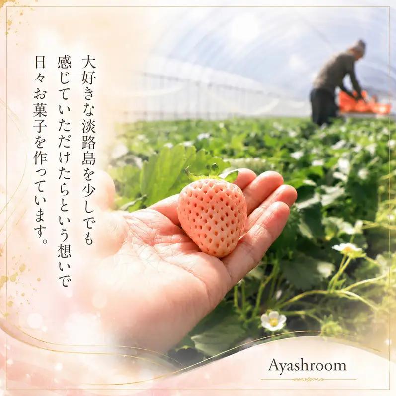 Ayashroom 白いちごのベイクドチーズケーキ 4号 グルテンフリー ケーキ 洋菓子 焼菓子 スイーツ デザート ベイクドチーズケーキ チーズケーキ  白いちご イチゴ 冷凍ケーキ 冷凍 淡路島 
