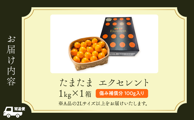 糖度18度以上!! 完熟きんかん たまたま エクセレント 計1kg 傷み補償分入り フルーツ 果物 柑橘 金柑 国産 食品 A品 2L ブランド 大粒 極甘 デザート おすすめ ギフト プレゼント 贈