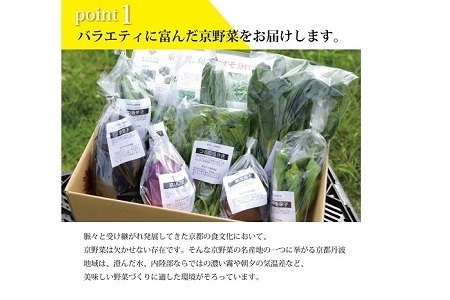 旬の京野菜　レギュラーコース 《 野菜詰め合わせ 野菜セット 京野菜 旬の野菜 新鮮野菜 有機野菜 減農薬 》 ※沖縄・その他離島は配送不可 [011KH001]