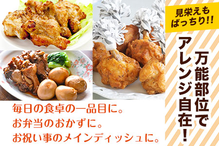 熊本県産 若鶏手羽元 約4kg 2kg×2P 《30日以内に出荷予定(土日祝除く)》 熊本県 葦北郡 津奈木町