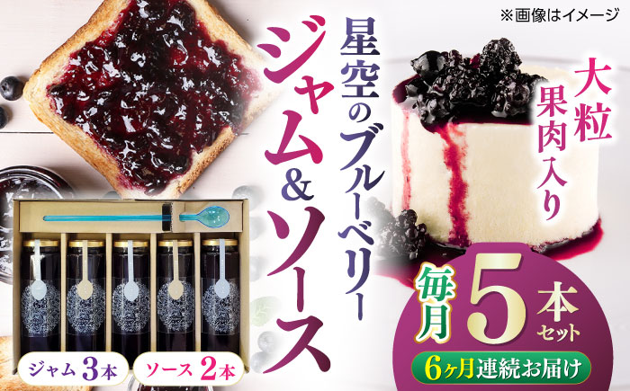 【全6回定期便】星空のブルーベリー　5本詰合せセット（ソース2本＆ジャム3本）【清和の恵み工房】 [YAA017]