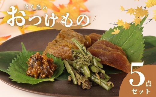 
            つけもの 5点 セット 【 さくまのお漬物5点セット 美～なす 味噌漬け 奈良漬 しそ 紫蘇 味噌 かつお だし わらび 芋 つる 漬物 漬け物 人気 野菜 佐久間食品 新潟県 新発田市 sakuma001】
          