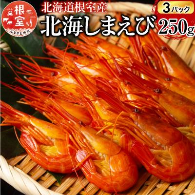 ふるさと納税 根室市 ＜12/14まで年内配送＞★北海しまえび250g×3P(計33〜48尾) F-20012