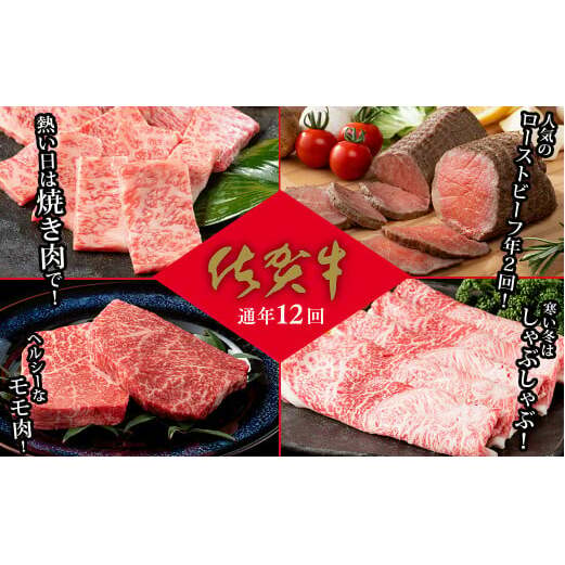 【通年12回】佐賀牛季節のオススメ定期便 ファミリー向け 牛肉 牛肉定期便 黒毛和牛 牛肉定期便 50万円 牛肉定期便 za022