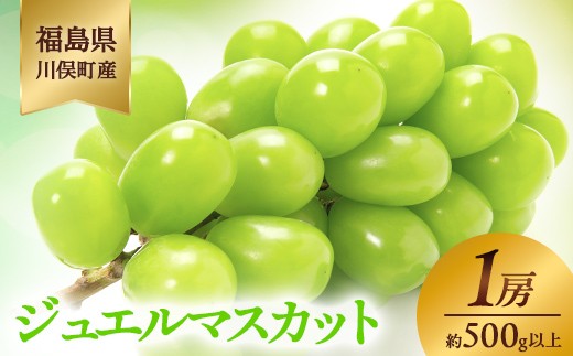 
                  川俣町産 ジュエルマスカット 1房 約500g以上 マスカット ぶどう ブドウ 葡萄 デザート フルーツ 果物 くだもの 果実 食品 FAF-0228
                