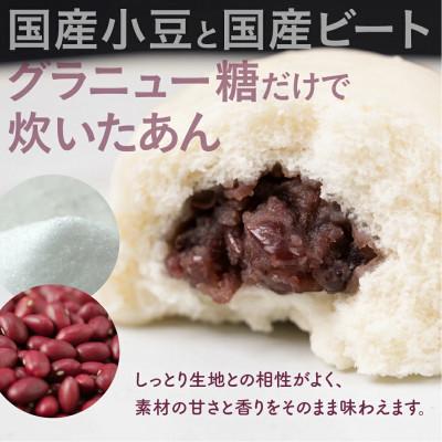 ふるさと納税 豊橋市 あんまん　50g×40個