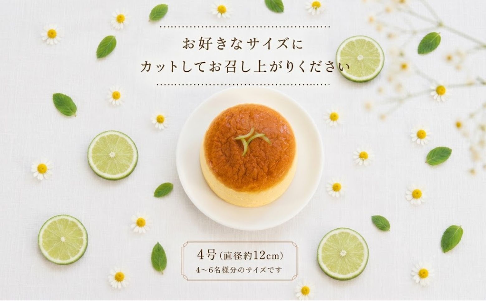 ケーキ職人のふわしゅわグリーンレモンすふれチーズケーキ 4号 スフレチーズケーキ すふれチーズケーキ チーズケーキ ちーずけーき チーズ ケーキ 手作り お取り寄せ お菓子 おやつ 冷凍 個包装 プレゼント スイーツ デザート ホールケーキ グリーンレモン レモンケーキ ふるさと納税 人気 おすすめ 6000円 高知県 黒潮町 ギフト［1828］