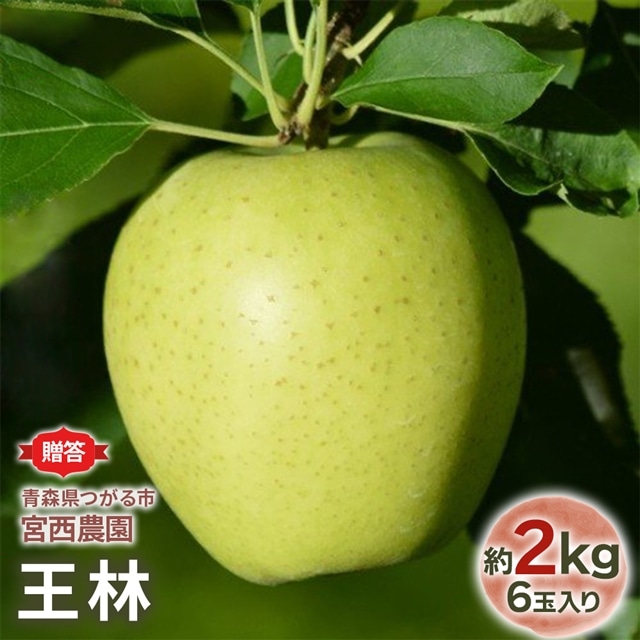 [贈答用] 王林【約2kg 6玉入り】芳醇な香りの青りんご｜青森産 津軽 つがる りんご リンゴ 果物 フルーツ [0679]