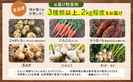 【農薬・化学肥料不使用】旬の野菜詰め合わせ（常温便）
