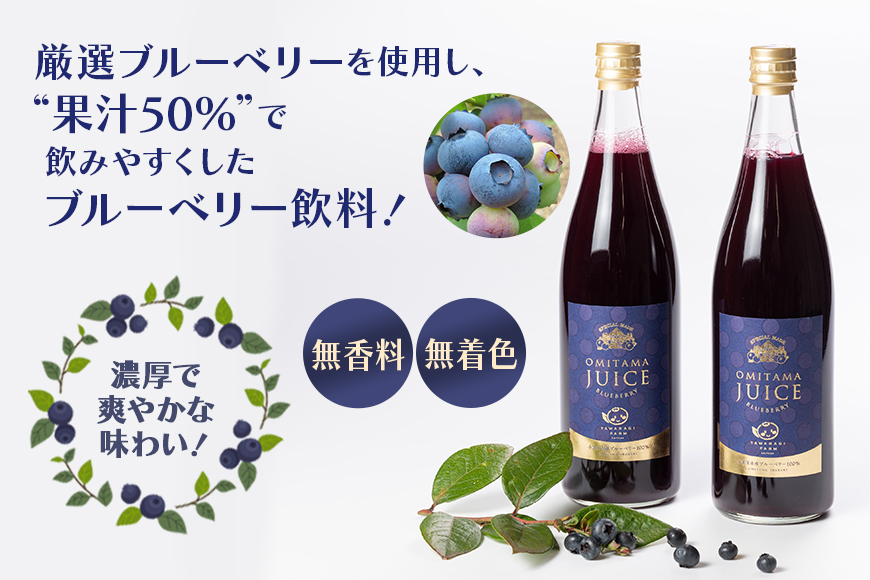 果汁50％ブルーベリー飲料2本セット