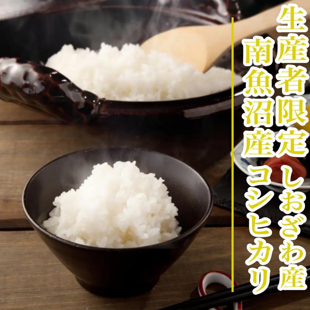 【令和8年産　新米予約】【1Kg】生産者限定／契約栽培 南魚沼しおざわ産コシヒカリ【銘柄米 精米 こしひかり コシヒカリ 魚沼産 新潟米 お米 米 こめ コメ ご飯 御飯 ごはん】【2026年10月上