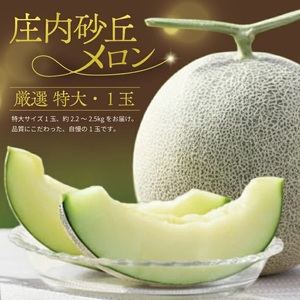 SA2890　特大庄内砂丘メロン(青肉) 2.2～2.5kg 1玉 つる付き