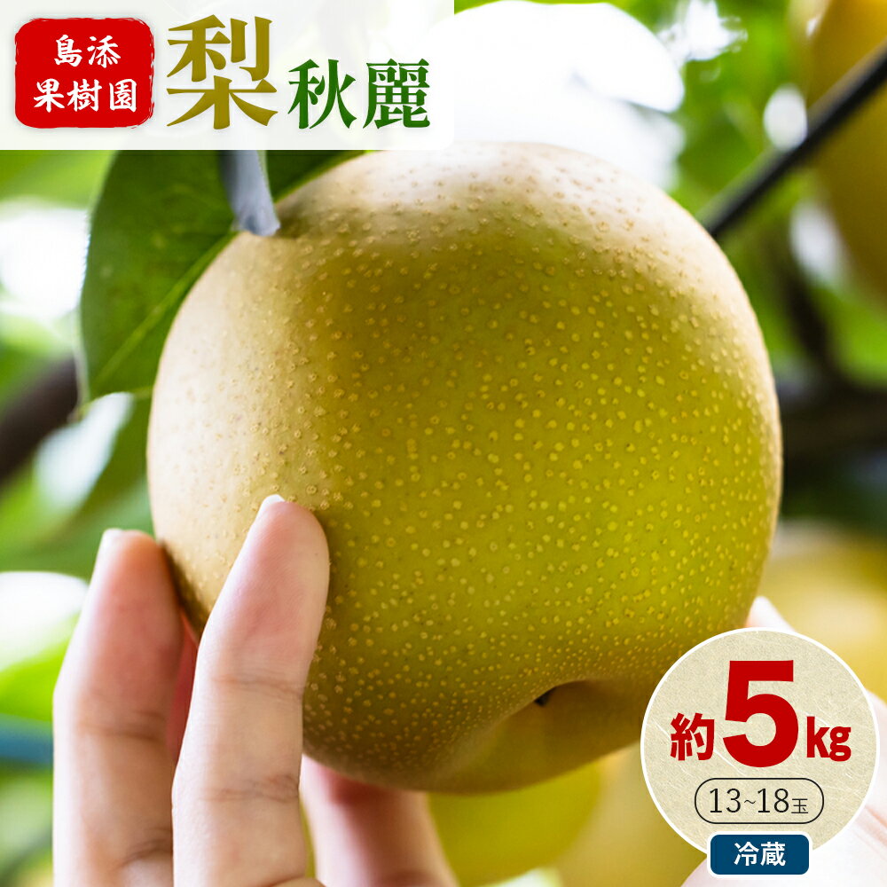 【ふるさと納税】梨 5kg 秋麗 旬 なし 果物 くだもの フルーツ 送料無料 熊本県産 島添果樹園《2025年8月中旬‐9月中旬頃出荷》旬 果物 お取り寄せ