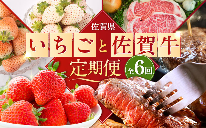 【全6回定期便】佐賀県の生産者を応援！いちごと佐賀牛定期便 / ステーキ ハンバーグ / 佐賀県ふるさと納税 [41AAZZ007]