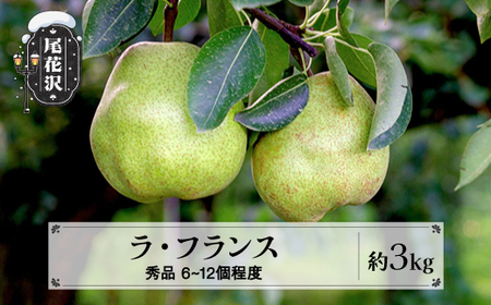先行予約 ラ・フランス 秀品 約3kg 令和8年産 sb-lasyx3