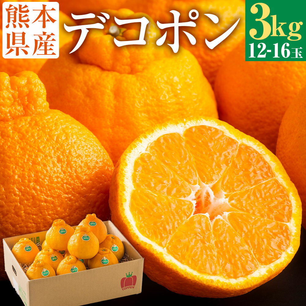 【ふるさと納税】熊本県産 デコポン 3kg 12～16玉 柑橘 みかん ミカン 蜜柑 でこぽん 果物 くだもの 果実 フルーツ 旬 お取り寄せ ギフト 国産 九州 熊本県 常温 送料無料【2026年3月上旬発送開始】