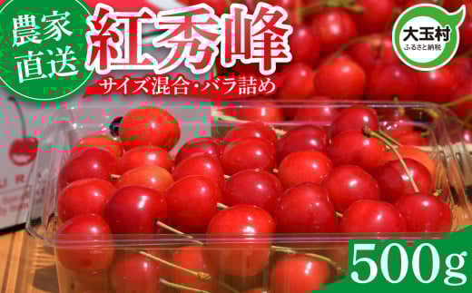 さくらんぼ 紅秀峰 500g 令和7年分 先行予約 バラ詰め サイズ混合（M/L/LL） ｜ 朝採れ もぎたて 農家直送 産地直送 果物 フルーツ 旬 新鮮 お取り寄せ ギフト 贈り物 サクランボ 福島県 大玉村 菊地果樹園 ｜ OT20-002-R7