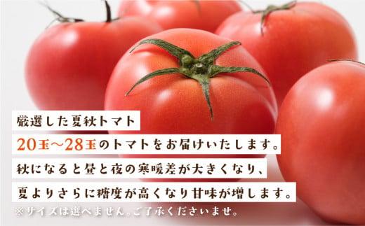 秋の濃い味 飛騨トマト 4kg 大玉 トマト とまと 秋 野菜 期間限定 産地直送 野菜 飛騨高山 宿儺さま KA010