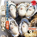 【ふるさと納税】【先行予約】カキ 殻付き 2年貝 約3kg（30個前後） 佐呂間産（2024年10月中旬より発送） 【 ふるさと納税 人気 おすすめ ランキング 牡蠣 カキ かき 貝 牡蠣貝 殻付き ギフト 贈答 酒蒸し 冷蔵 海鮮 オホーツク 北海道 佐呂間町 送料無料 】 SRMA034