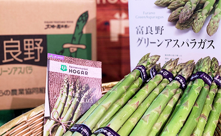 【令和9年産】アスパラガス グリーンアスパラ 1kg Lサイズ アスパラ 野菜 北海道 上富良野町 ふらの農業協同組合