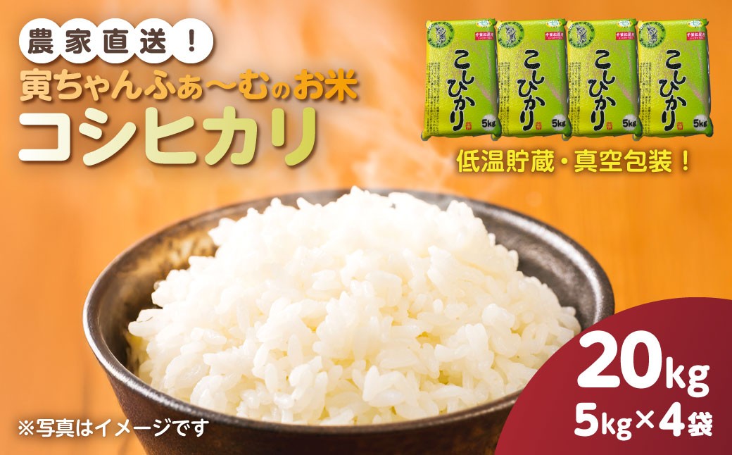 
                  【先行予約2026年10月上旬から発送開始】コシヒカリ　20kg（5kg×4袋）令和8年産 　【 ふるさと納税 人気 おすすめ ランキング 米 精米 白米 お米 こしひかり コシヒカリ 千葉県産 千葉県 山武市 送料無料 】SMBX006
                