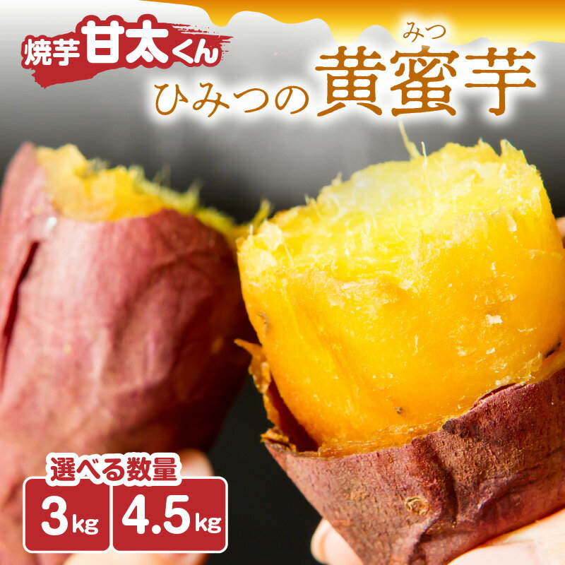 【ふるさと納税】焼芋 甘太くん ひみつの黄蜜芋【選べる内容量】 約3kg〜 紅はるか 九州産 大分県産 さつまいも スイーツ 小分け 個包装 送料無料 冷凍 お取り寄せ ギフト 贈り物 プレゼント 焼き芋 F02003