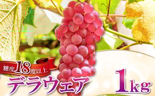 
            早出し 椋さんのこだわり デラウェア 1kg【デラウエア 先行予約 5～6房 果物 くだもの フルーツ ブドウ デラウェア ぶどう 葡萄 期間限定 季節限定 早期予約】
          