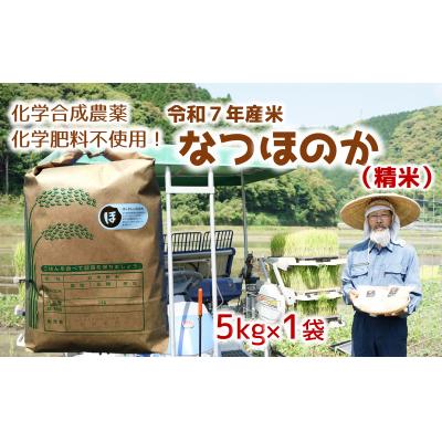 ふるさと納税 臼杵市 令和7年産米　なつほのか(精米)5kg!栽培期間中、農薬・化学肥料等を使わずに育てたから安心安全
