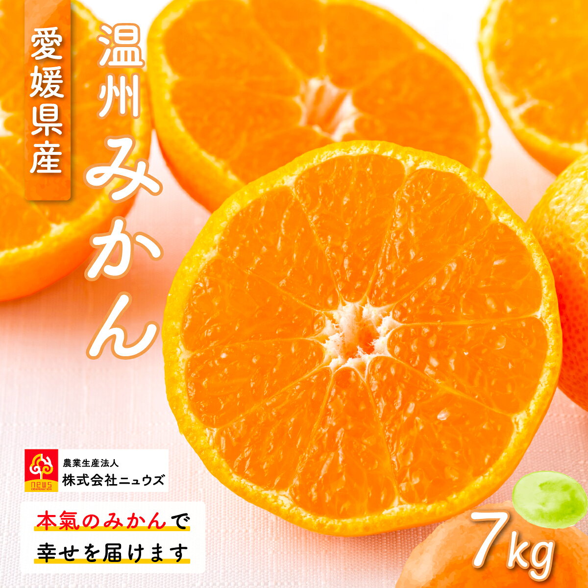 【ふるさと納税】【先行予約】産地直送！愛媛県産温州みかん 7kg（2026年11月上旬より順次発送） 【ふるさと納税 人気 おすすめ ランキング みかん ミカン 蜜柑 温州みかん 温州ミカン フルーツ 果物 産地直送 ニュウズ 愛媛県産 愛媛県 伊方町 送料無料】 IKTF023