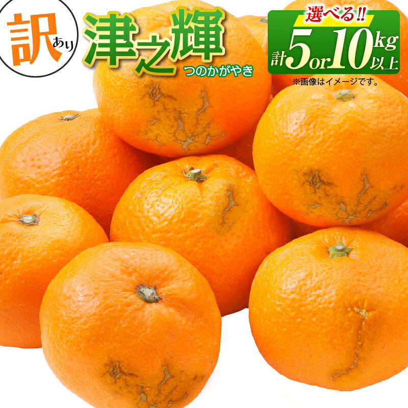 【ふるさと納税】≪内容量が選べる≫ 先行予約 訳あり 津之輝 つのかがやき 5kg 10kg 希少 L ～ 4L サイズ不揃い フルーツ 果物 くだもの 柑橘 みかん 蜜柑 2027年 令和9年発送 国産 食品 おすすめ デザート みかんジュース 傷 ご家庭用 おすそ分け 宮崎県 日南市 送料無料