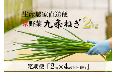 【4か月定期便】生産農家直送 京野菜・九条ねぎ2kg〈ねぎ 野菜 京都
